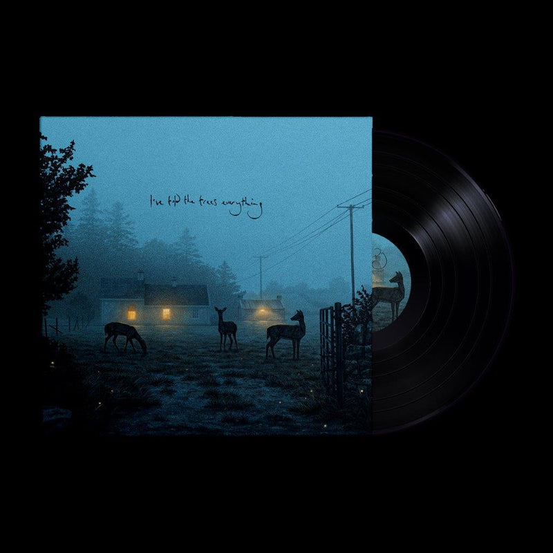 Dermot Kennedy - I've told the trees everything *Pre-Order