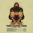 Three Trapped Tigers 20/11/24 @ Brudenell Social Club