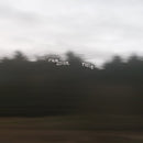 Film School – Field