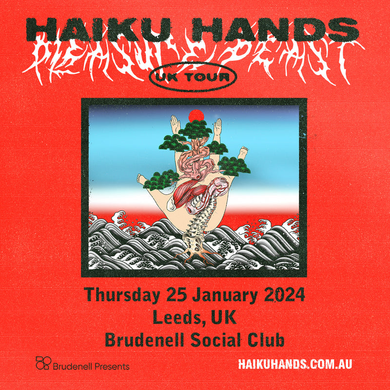 Haiku Hands 25/01/24 @ Brudenell Social Club