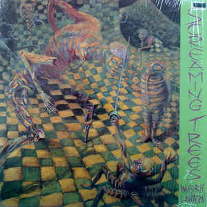 Screaming Trees – Invisible Lantern