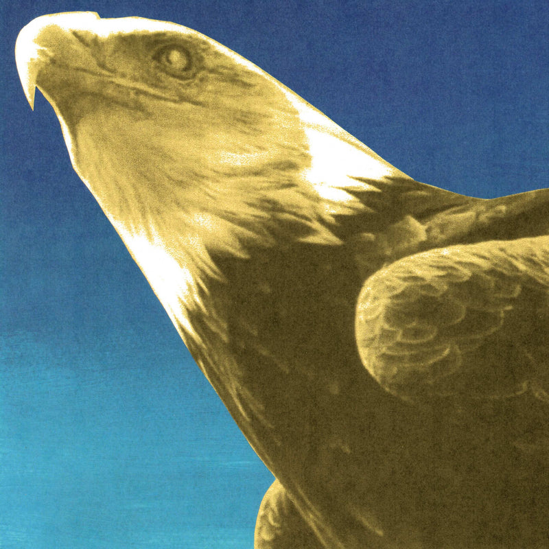 Protomartyr - Hotel Usona *Pre-Order