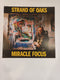 Strand of Oaks - Miracle Focus *Pre-Order