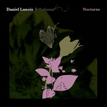 Daniel Lanois Belladonna レコード 2024年再発 Daniel Lanois - Belladonna Nocturne *Pre-Order – Crash Records