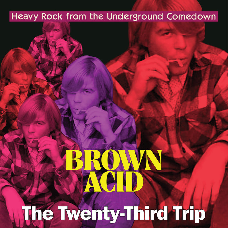 Various Artists - Brown Acid: The Twenty-Third Trip *Pre-Order
