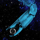 Jack White - Archbishop Harold Holmes