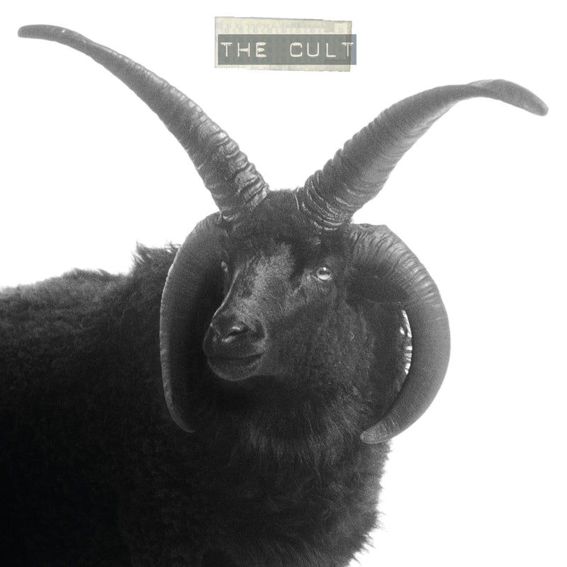 Cult (The) - The Cult