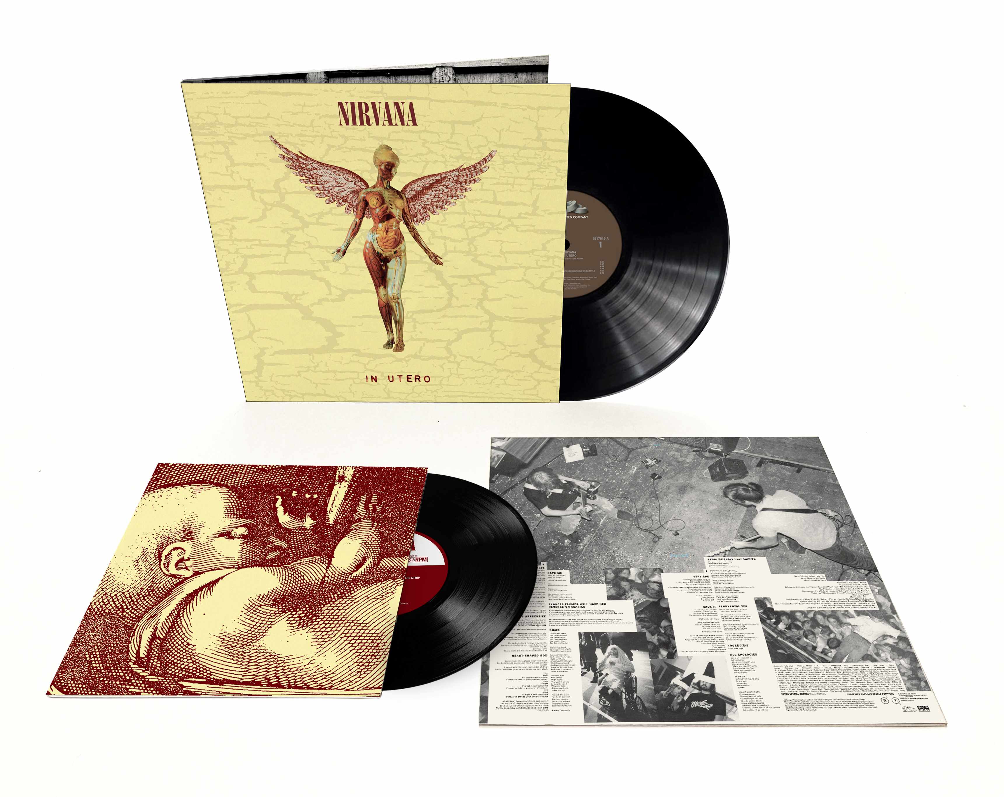 洋楽 Nirvana In Utero 30th Anniversary LP Nirvana - In Utero: 30th Anniversary – Crash Records