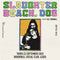 Slaughter Beach, Dog 22/09/22 @ Brudenell Social Club