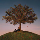 slowthai - TYRON: Various Formats