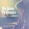 Brian Wilson - At My Piano