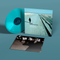 Echo & The Bunnymen - What Are You Going To Do With Your Life? *Pre Order