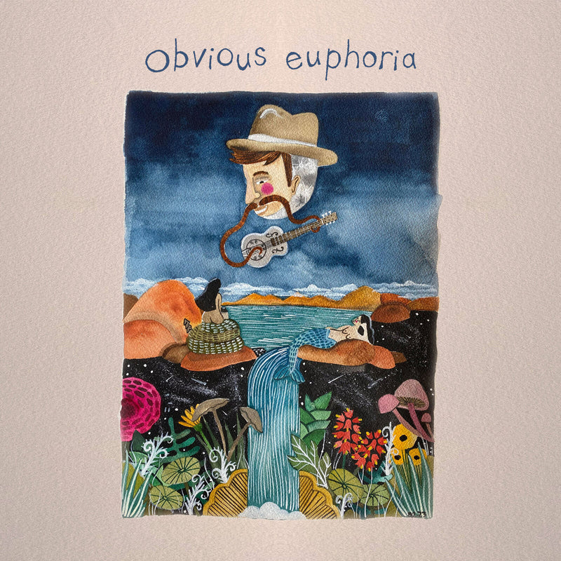 Matt Mitchell Music Co - Obvious Euphoria
