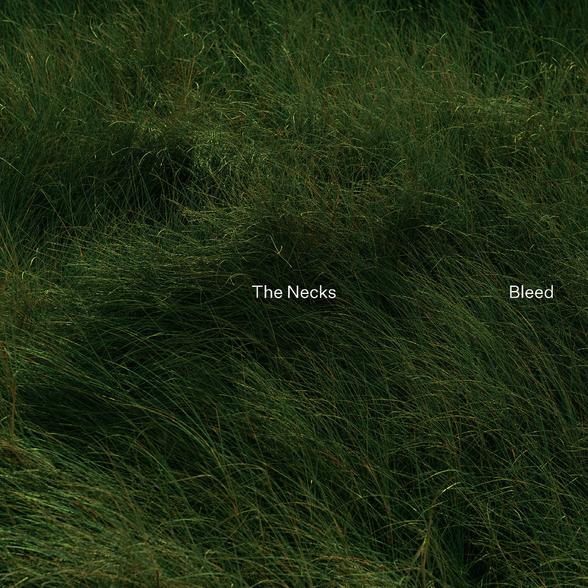 Necks (The) - Bleed