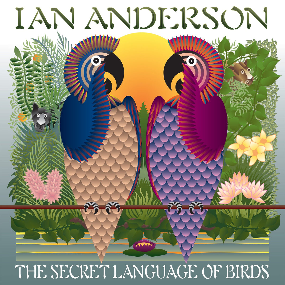Ian Anderson - The Secret Language Of Birds