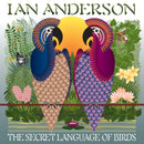 Ian Anderson - The Secret Language Of Birds