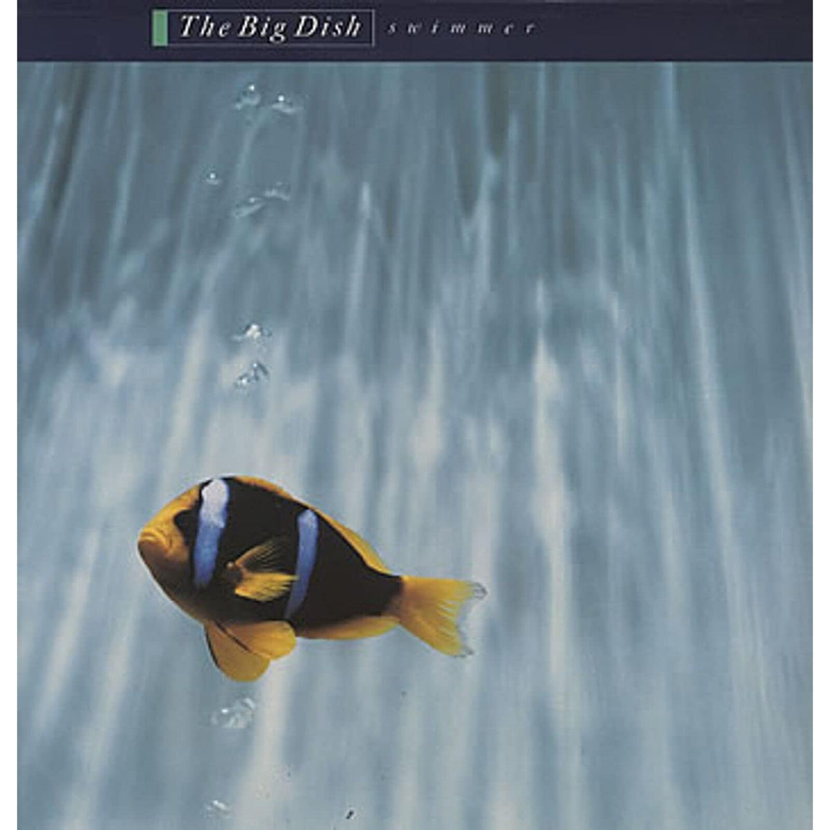 Big Dish (The) - Swimmer (40th Anniversary) *Pre-Order