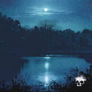 Planes Mistaken For Stars - Do You Still Love Me