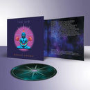 Orb (The) - Buddhist Hipsters
