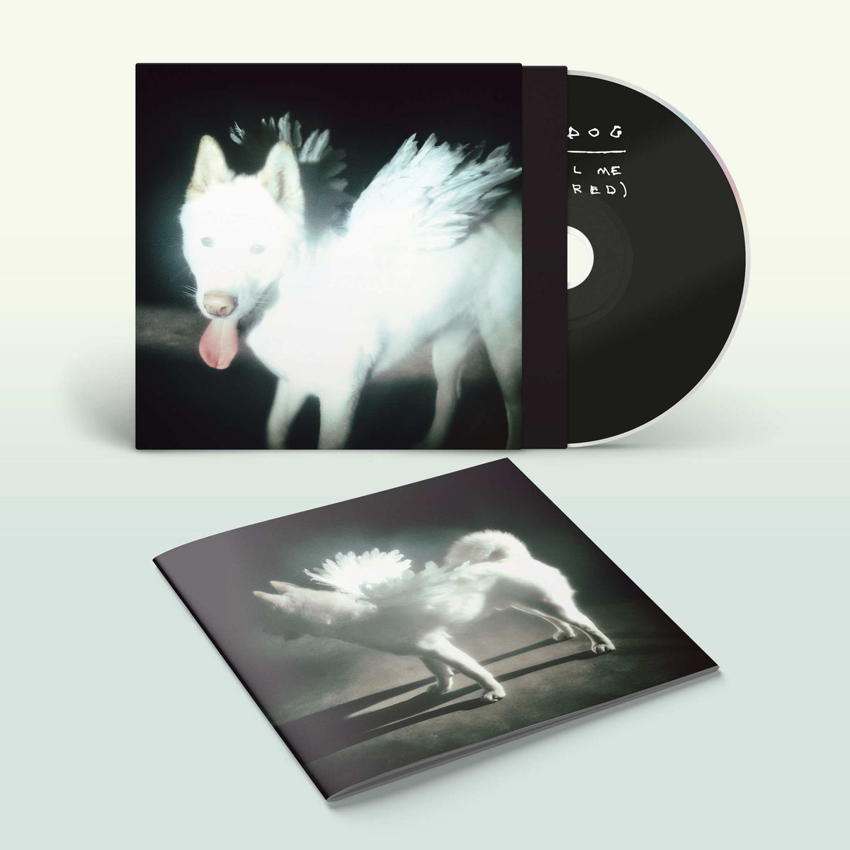 Fat Dog - Cancel Me (I'm Tired) *Pre-Order