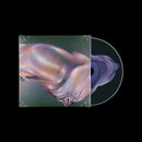 Walt Disco - The Warping