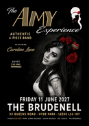 Amy Experience (The) 11/06/27 @ Brudenell Social Club
