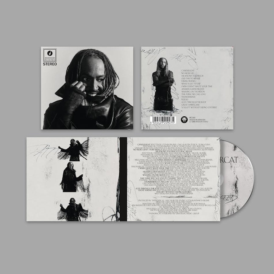 Thundercat - Distracted