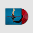 As December Falls - Everything's On Fire But I'm Fine *Pre-Order + ACOUSTIC INSTORE SESSION