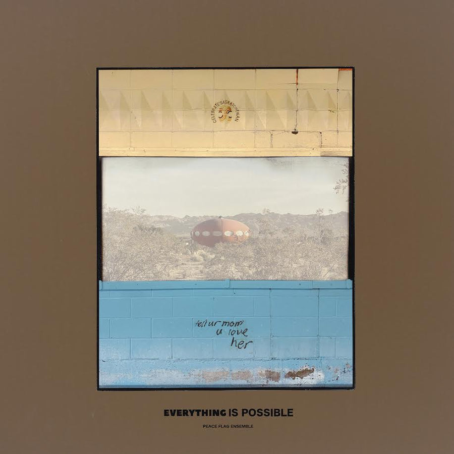 PEACE FLAG ENSEMBLE - Everything Is Possible