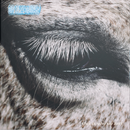 Smag På Dig Selv - This Is Why We Lost *Pre-Order