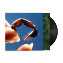 Squid - Cowards