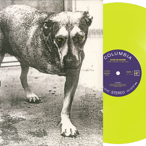 Alice in Chains - Alice in Chains – Crash Records