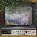 Elizabeth Cook - Great Television *Pre-Order