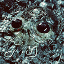 King Gizzard & the Lizard Wizard - Alien Metal *Pre-Order