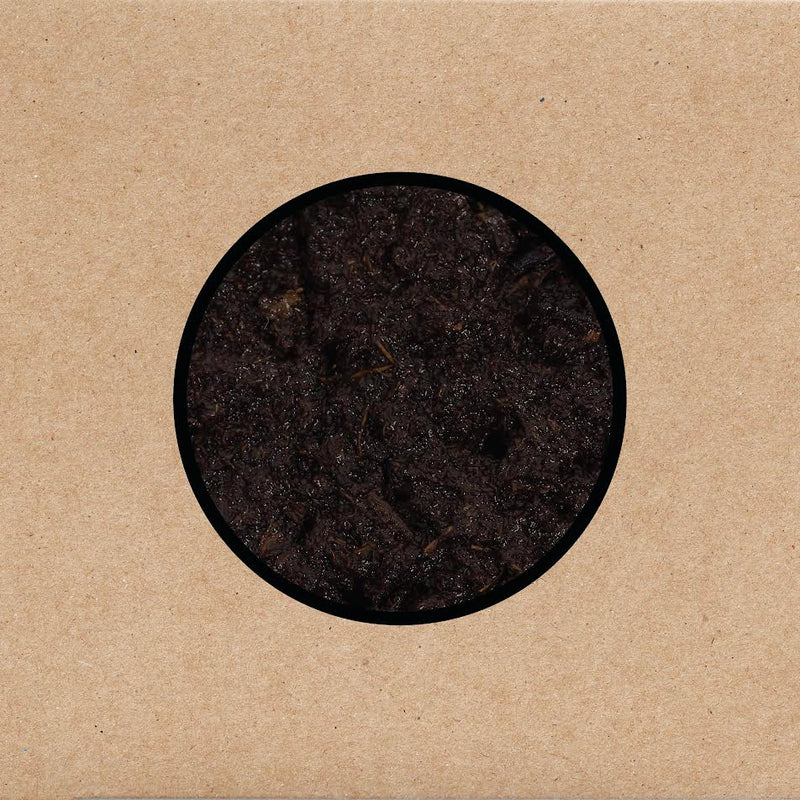 Swans - Birthing *Pre-Order