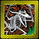 King Gizzard & The Lizard Wizard - Acoustic Gizzard - Live in Detroit 2024