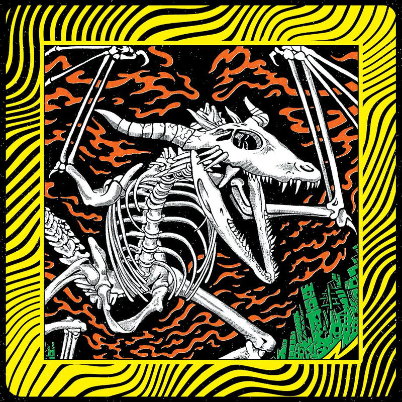 King Gizzard & The Lizard Wizard - Acoustic Gizzard - Live in Detroit 2024
