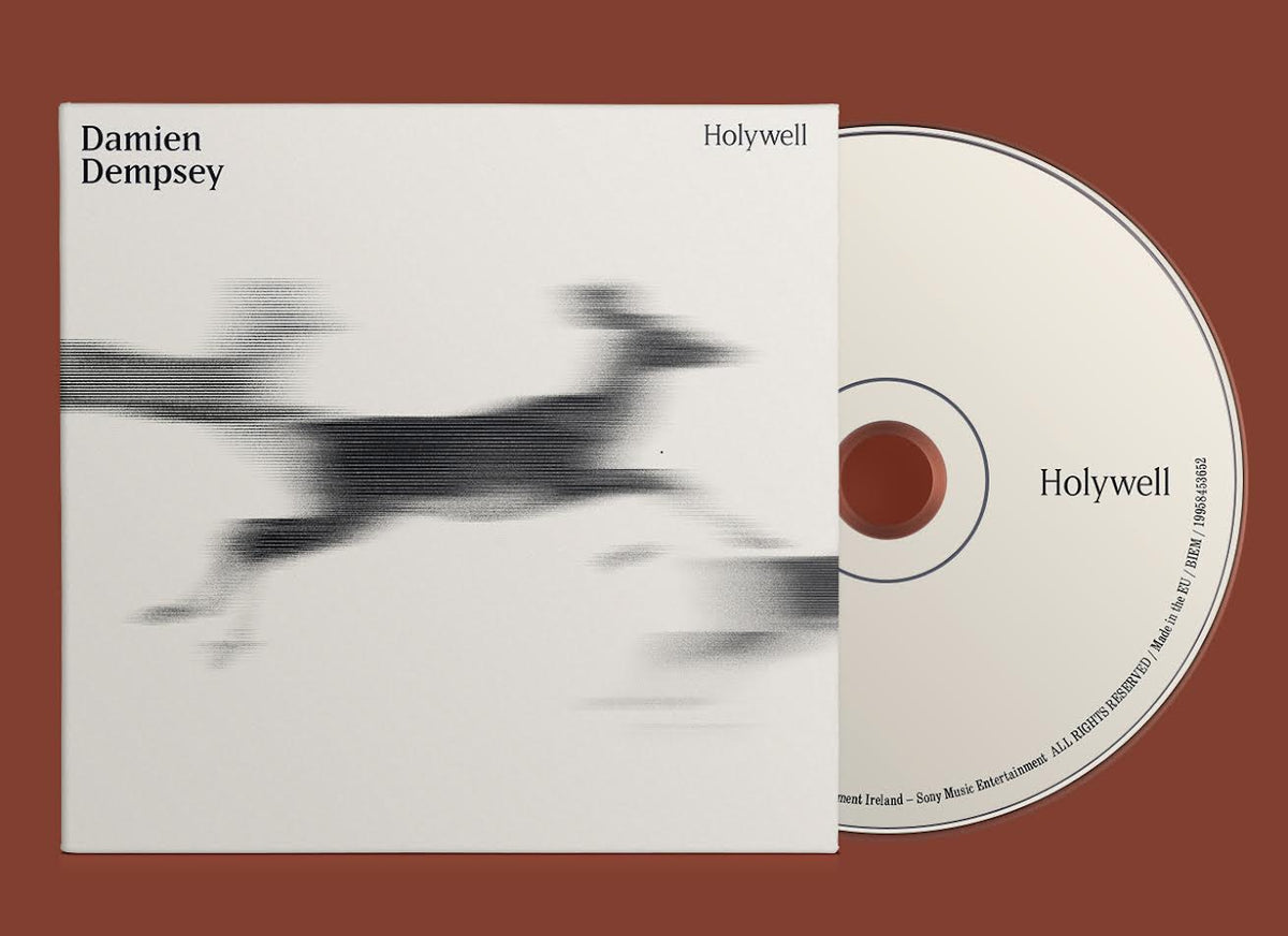 Damien Dempsey - Holywell
