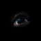 Roger Waters - Dark Side of the Moon Redux