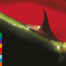 Nusrat Fateh Ali Khan & Michael Brook - Night Song - 30th Anniversary Edition *Pre-Order