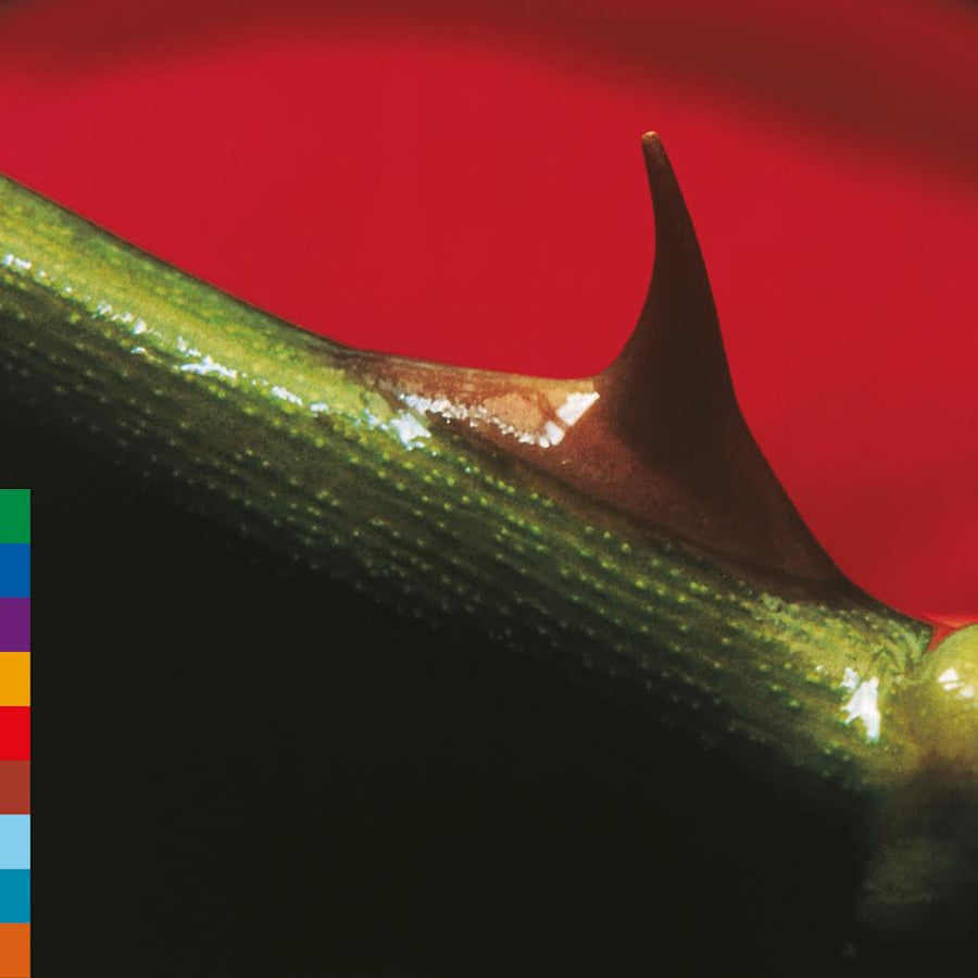 Nusrat Fateh Ali Khan & Michael Brook - Night Song - 30th Anniversary Edition *Pre-Order