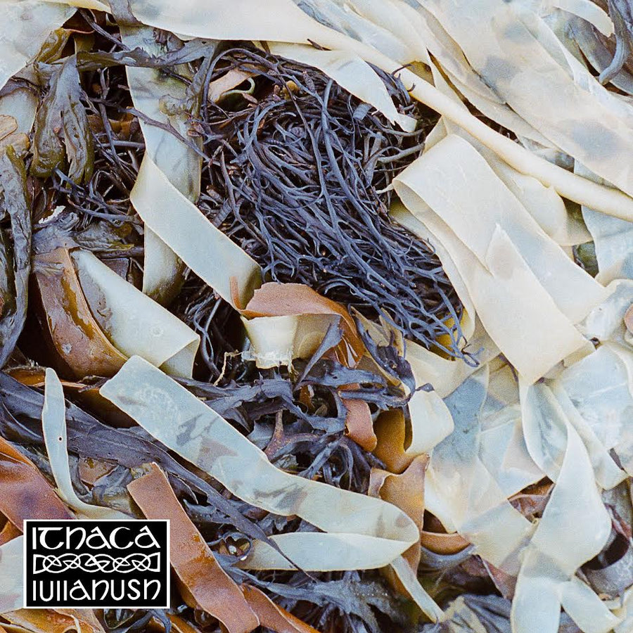 lullahush – Ithaca