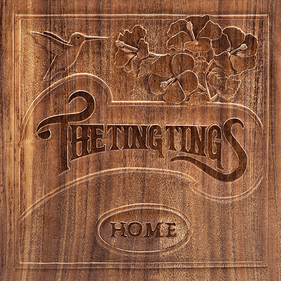 Ting Tings (The) - Home