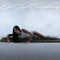 Maggie Lindemann - i feel everything *Pre-Order