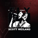 Scott Weiland - If I Could Fly/Barbarella (Live)