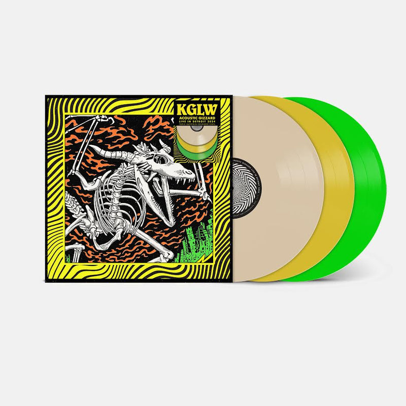 King Gizzard & The Lizard Wizard - Acoustic Gizzard - Live in Detroit 2024