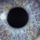 Dan Swanö - Moontower (Re-issue) *Pre-Order