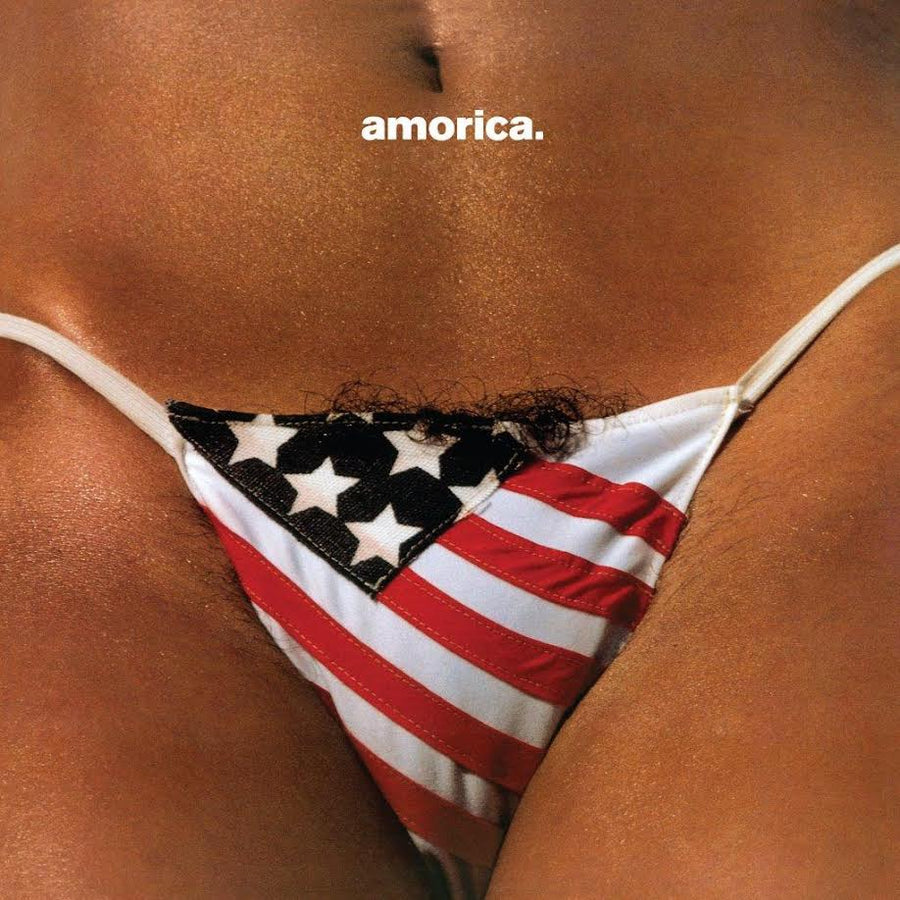 Black Crowes (The) - Amorica