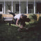 Malcolm Todd - Malcolm Todd *Pre-Order