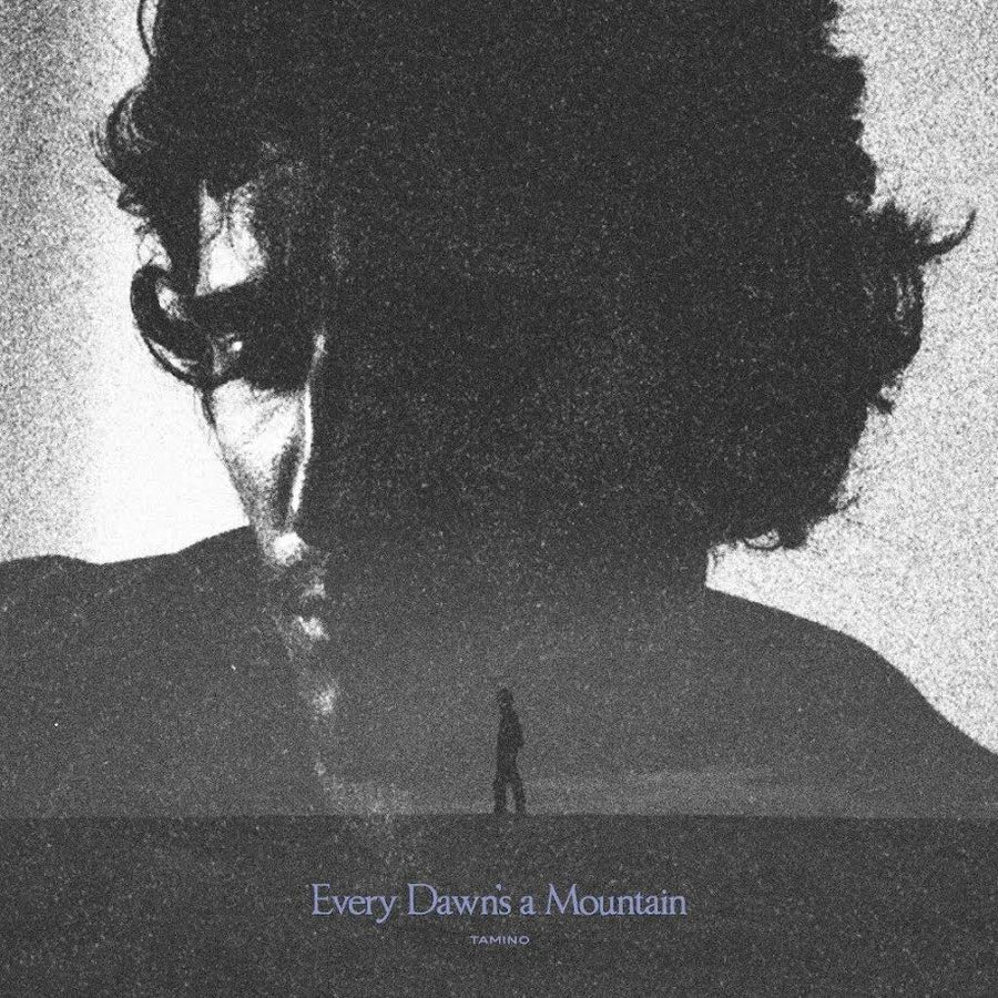 Tamino - Every Dawn’s A Mountain